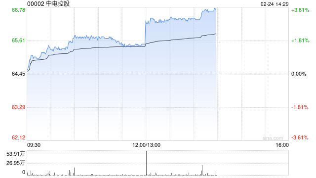 中电控股公布2024年业绩 股东应占溢利117.42亿港元同比增长76.44%