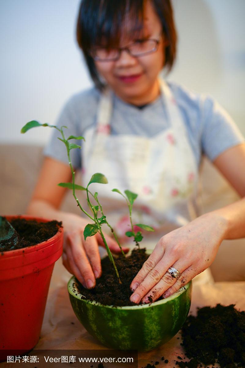 园艺女孩日常干什么(女生园艺专业有出路吗)