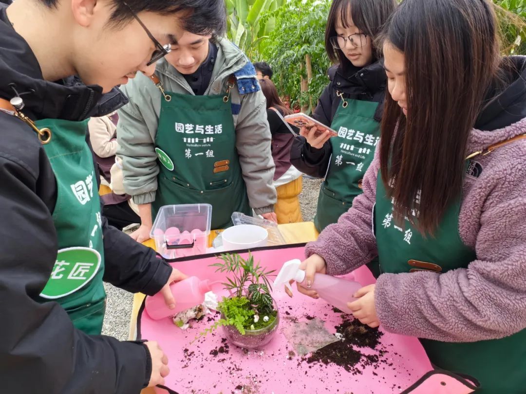 园艺课个人感悟(园艺案例课程的收获)