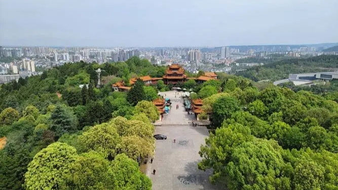 绵阳新城园艺山(绵阳园艺山再启城)