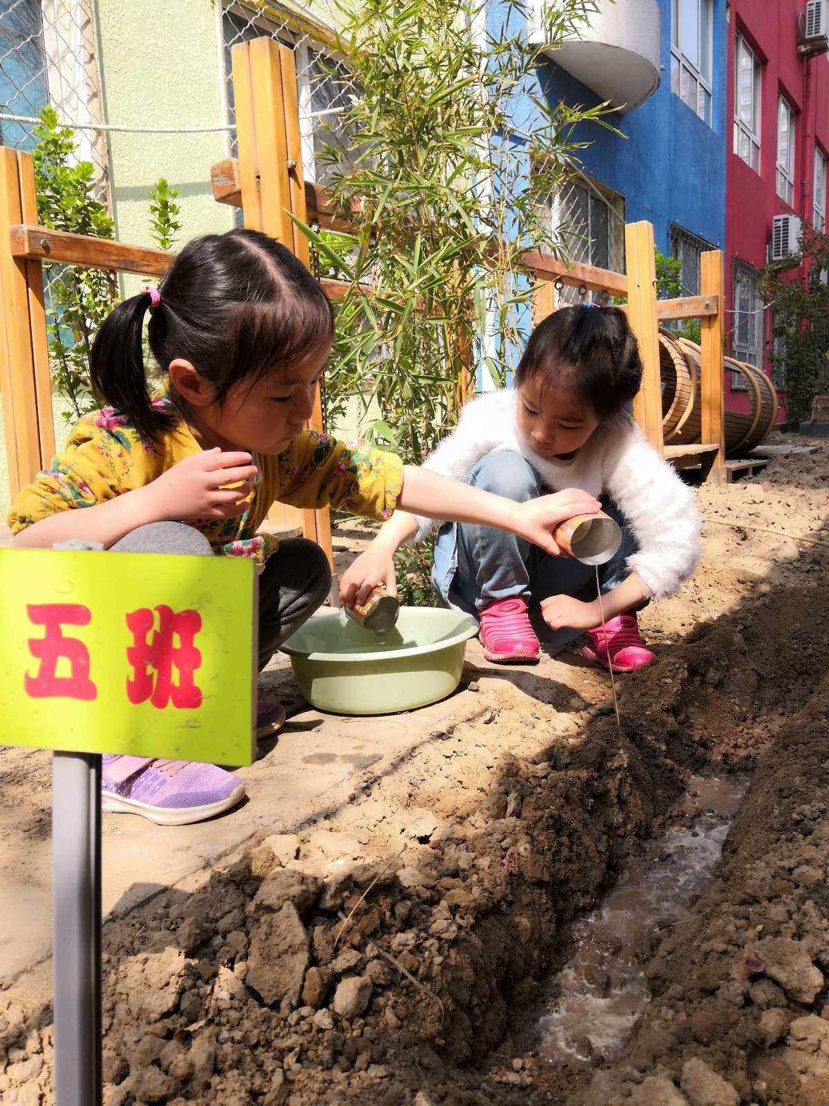 小小园艺师小班(小小园艺师教学设计)