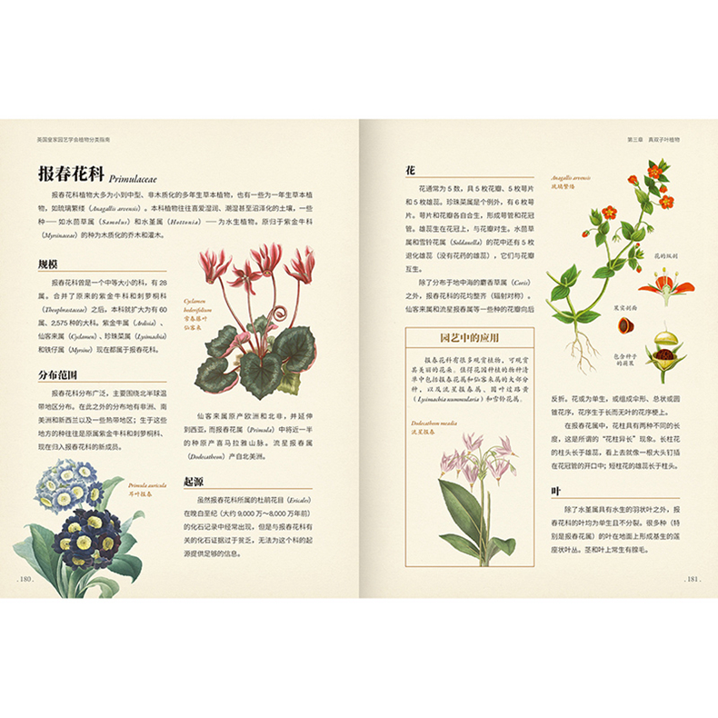 园艺植物图文介绍大全(园艺植物图文介绍大全图片)