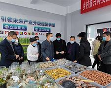 温江区亮豪园艺(温江房价下跌最惨名单)