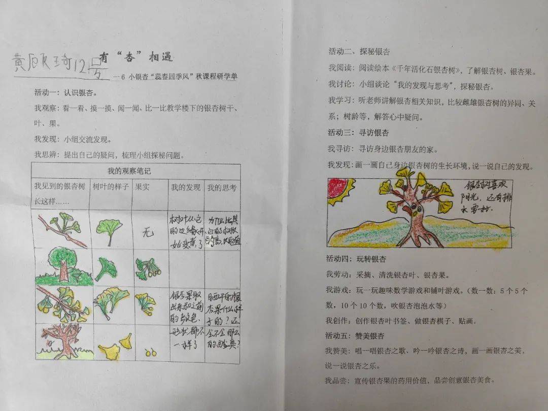 田间园艺作品介绍语言(田间园艺作品介绍语言描写)