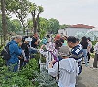 园艺新村的邮编(学校的邮编怎么查)