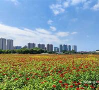 莆田秀屿园艺维护(莆田秀屿区十大首富)