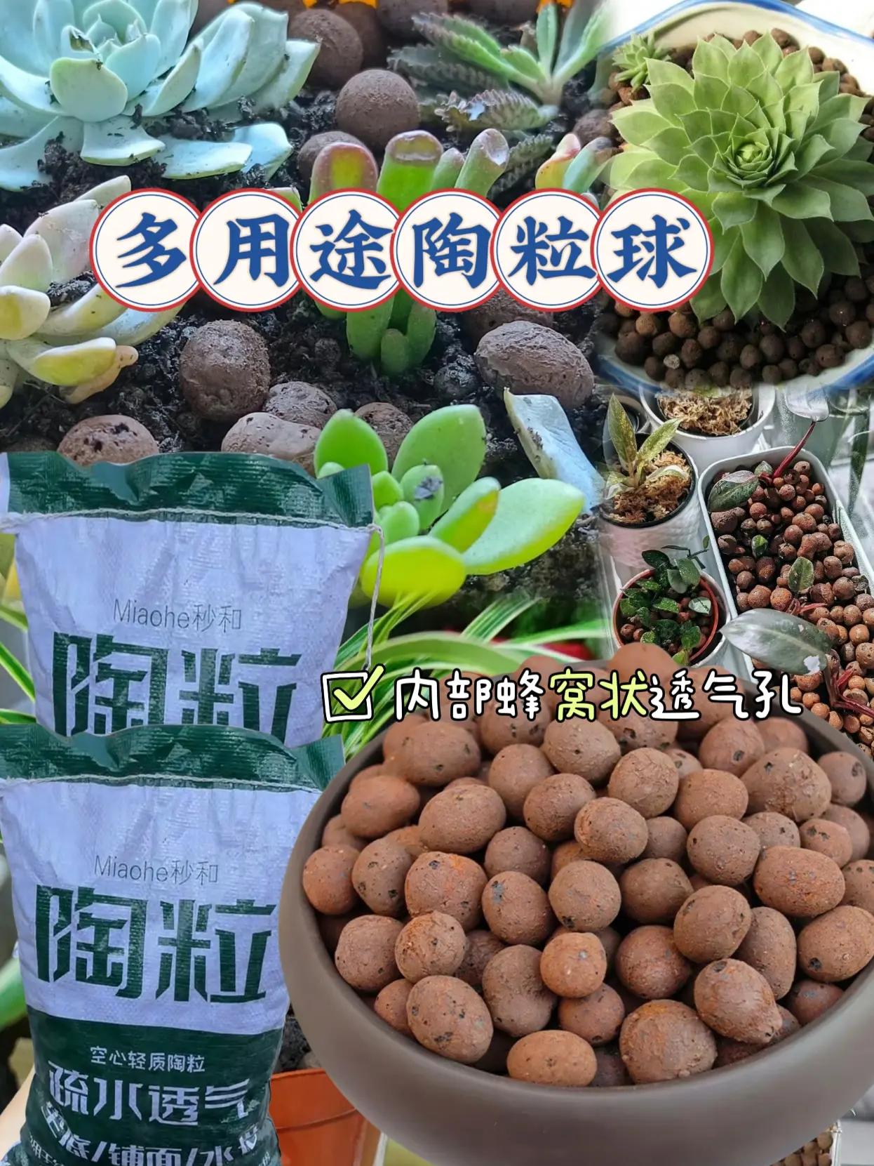 园艺陶粒品牌排名前十(陶粒在园艺种植中的重要作用)