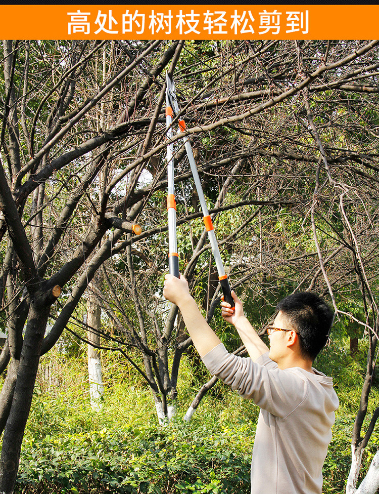 用园艺剪来剪鸡(用园艺剪来剪鸡蛋可以吗)