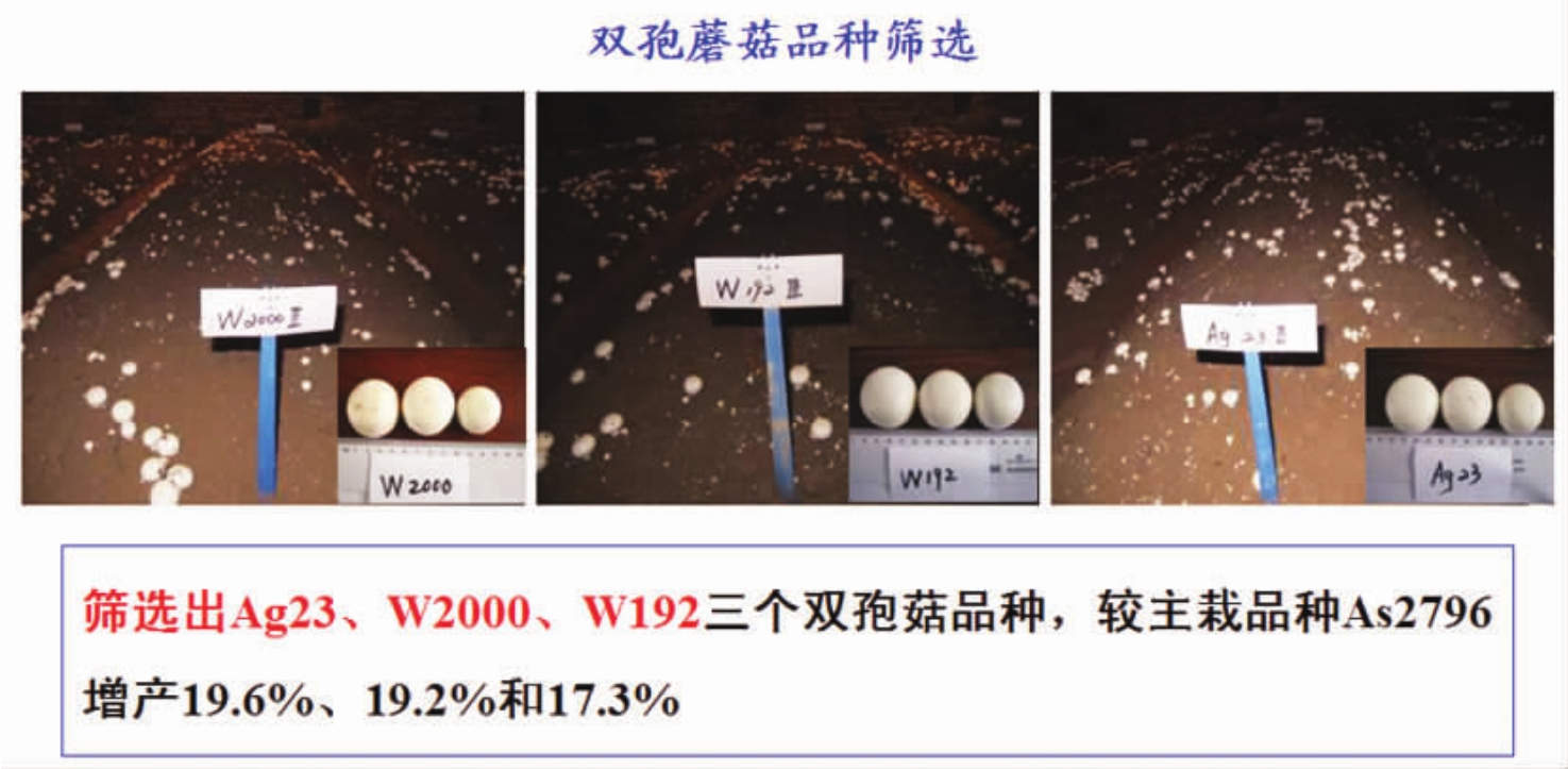 园艺植物种植制度与技术(园艺植物种植制度与技术规范)