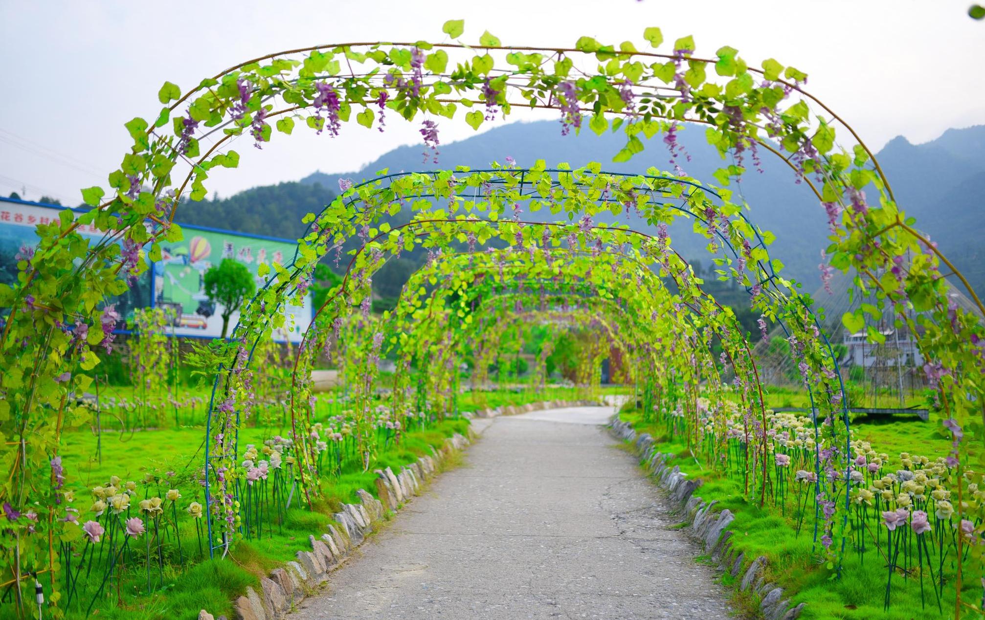 银月谷花卉园艺(盆栽花卉绿植店加盟)