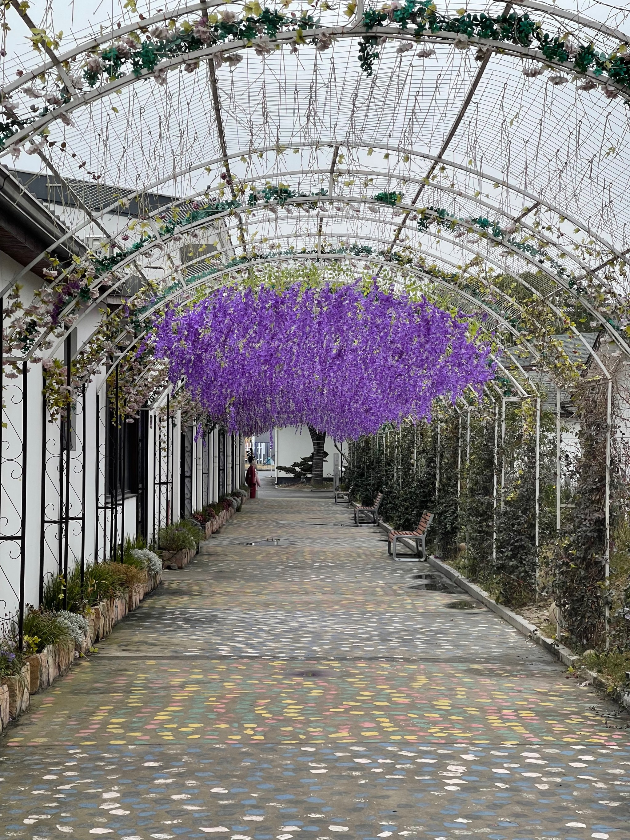 萧山区园艺花卉供应站(萧山区园艺花卉供应站地址)