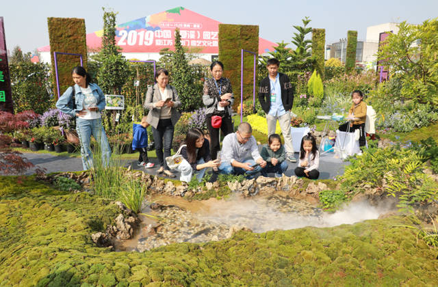 常州园艺嘉年华现状(北京家庭园艺嘉年华地址在哪里)