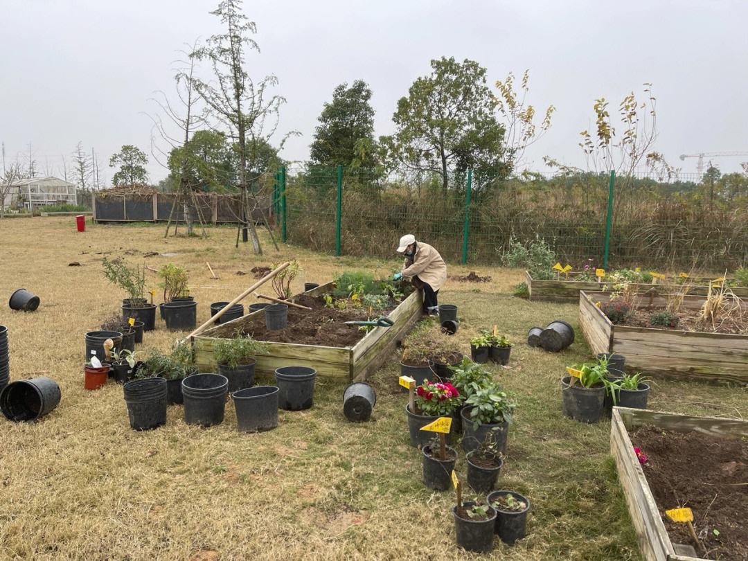 园艺治疗师研修班(芳疗师资格证在哪里报名)