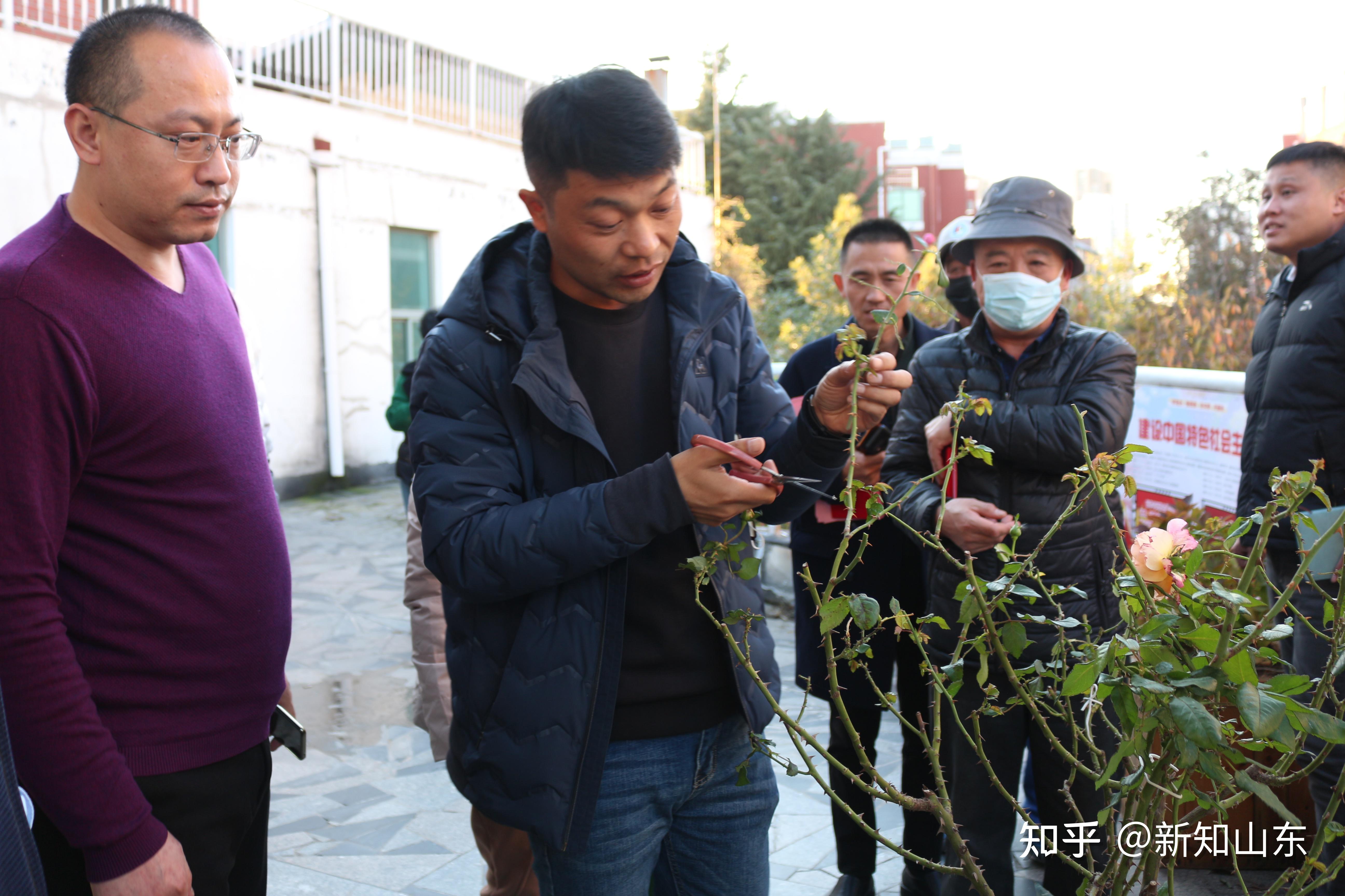 小区园艺师培训(园艺师资格证报考条件)