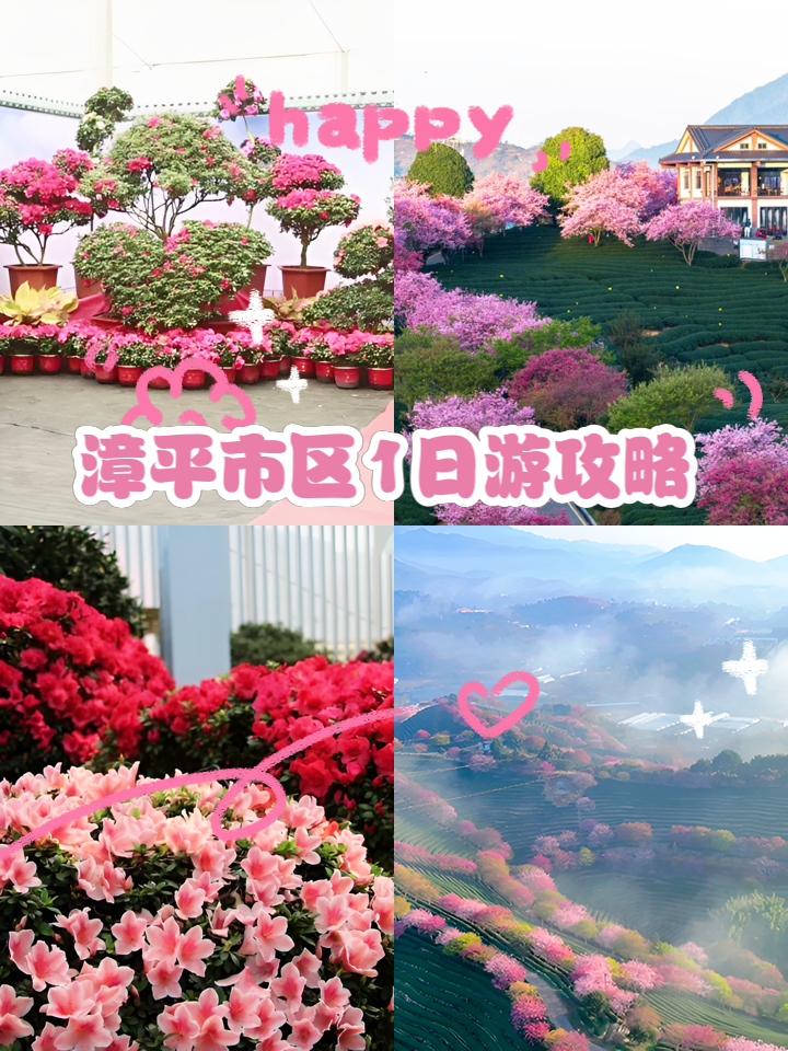 漳平市花之都园艺(漳平市花之都园艺场地址)