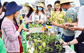 淘宝少年园艺家(淘宝少年游戏下载)