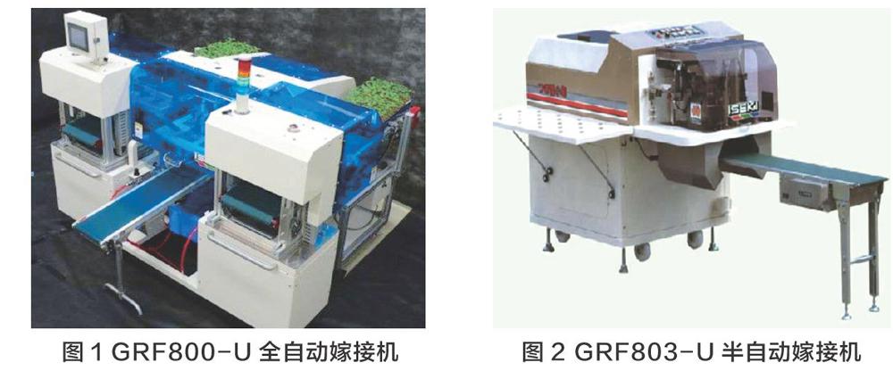 设施园艺的生产形势(设施园艺在园艺作物生产中的作用)