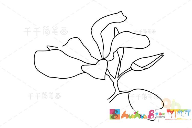 紫荆怎么画园艺画法(紫荆怎么画园艺画法好看)