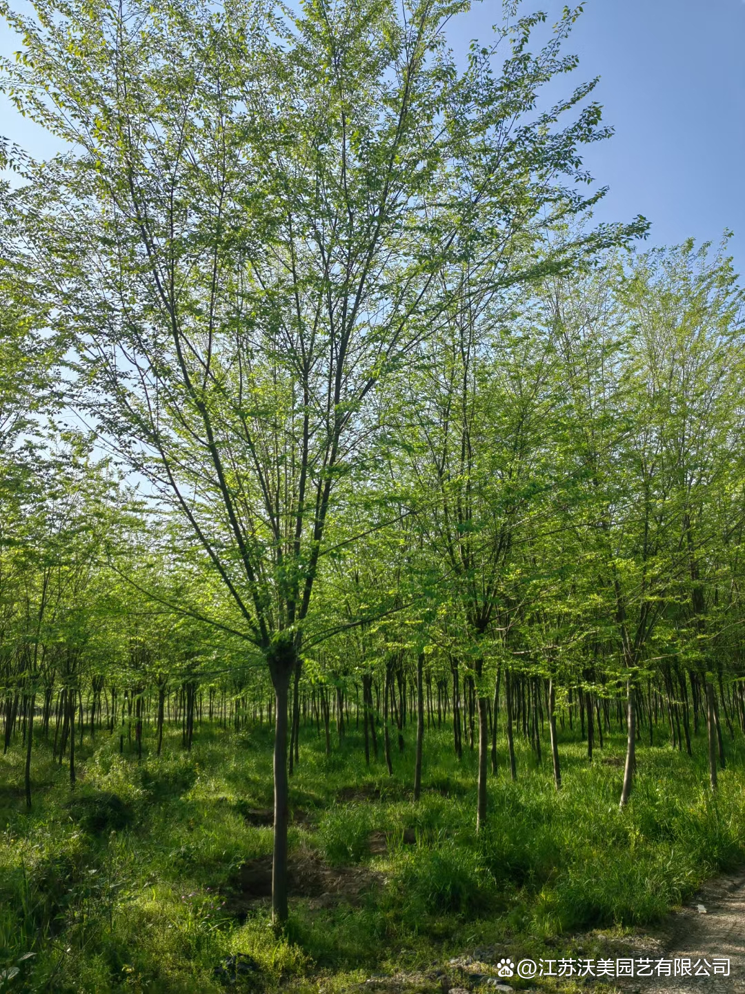 沭阳天与亮园艺(沭阳天宇天和新楼盘怎么样)