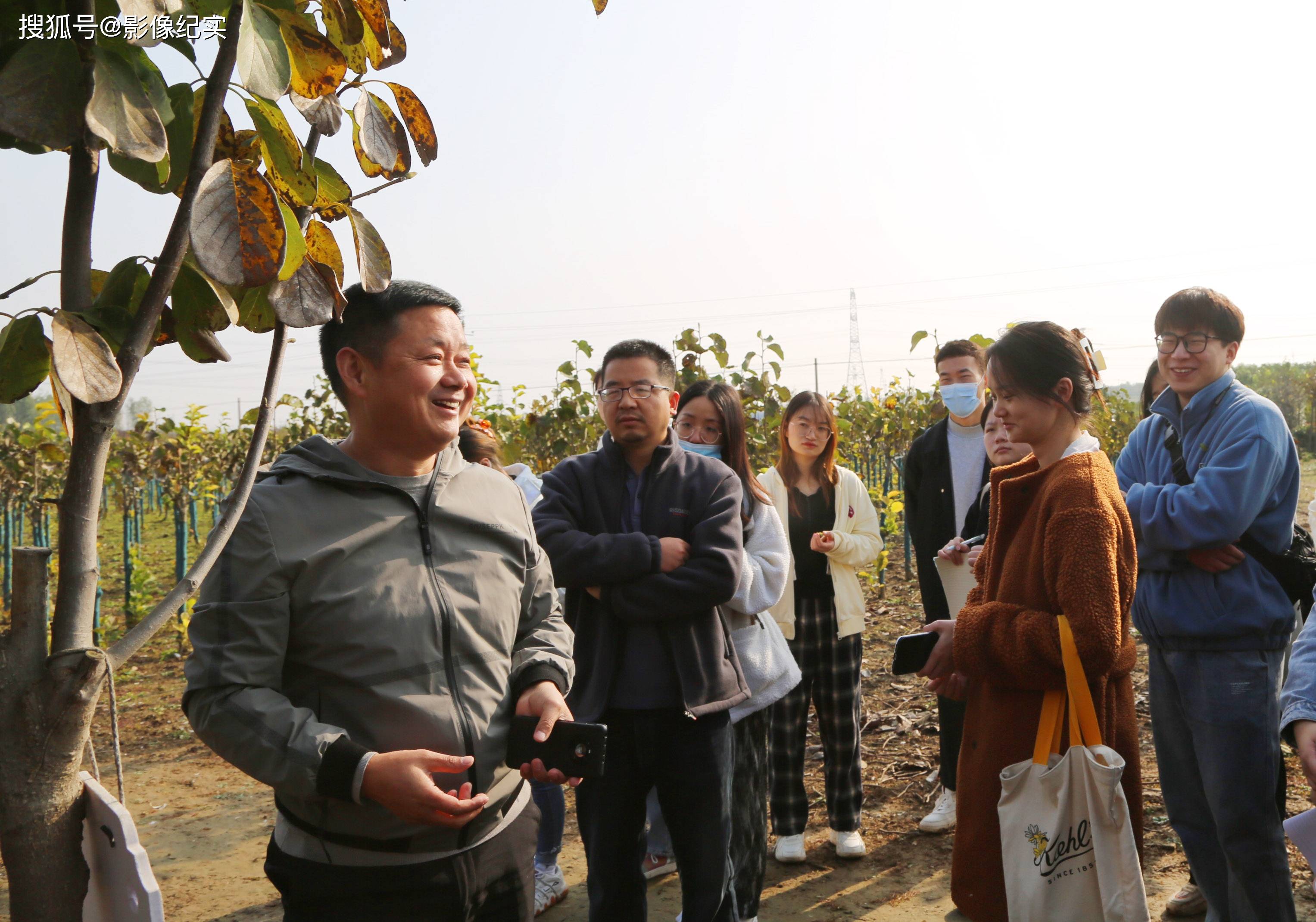 老闺蜜中园艺师林先生(钟先生的小茶花免费阅读)