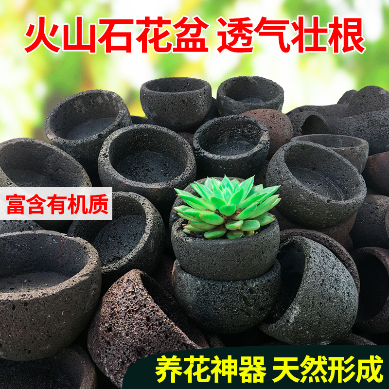 特大圆形园艺盆(大圆盆适合种什么植物)