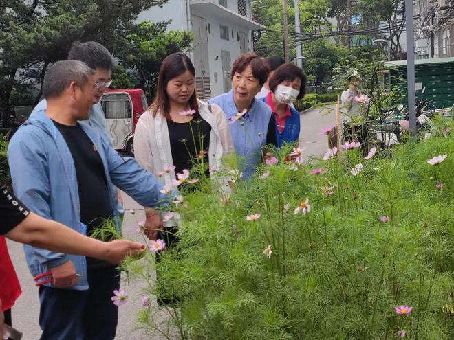 社区园艺活动有哪些(社区园艺活动有哪些内容)