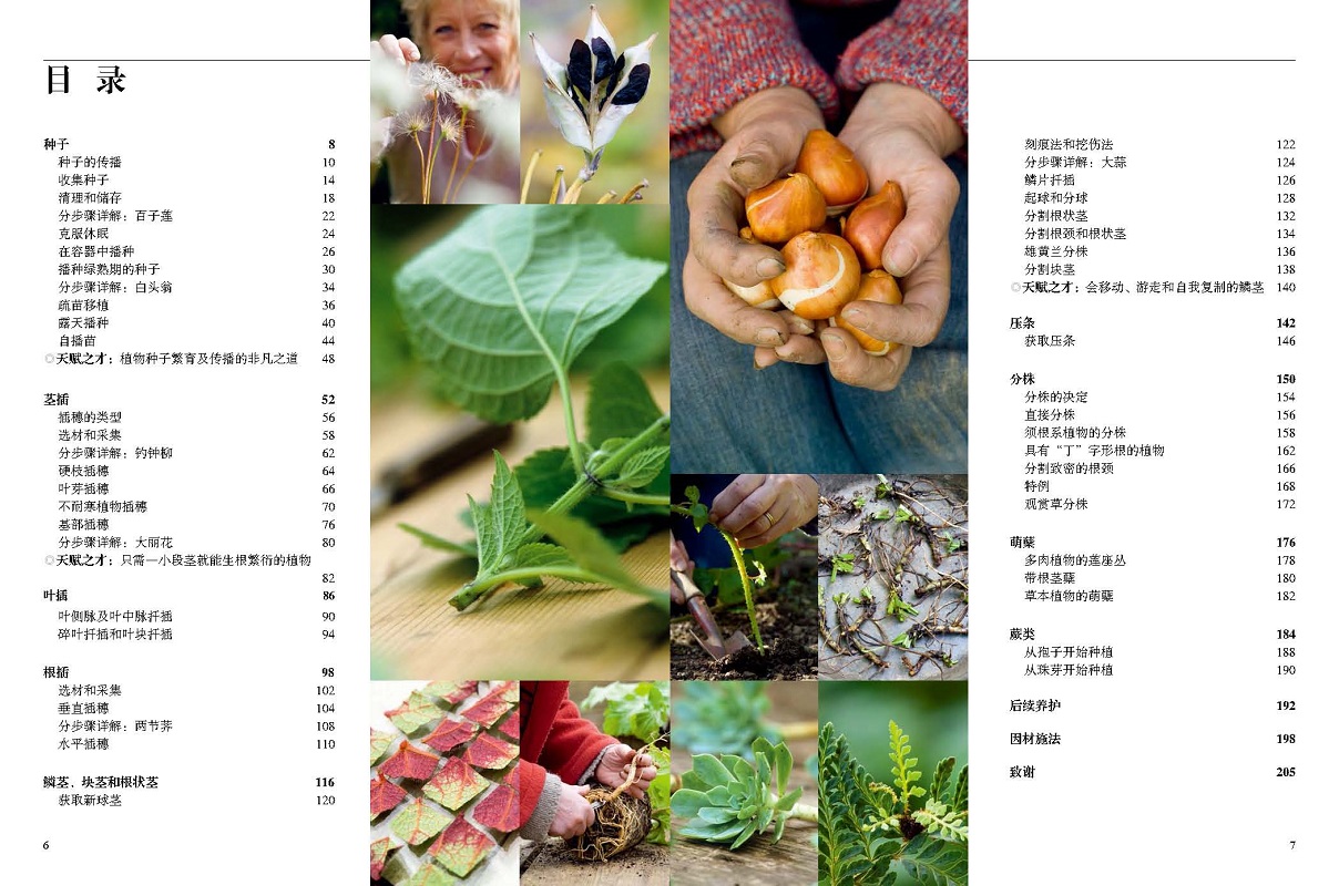 植物科学与园艺系(植物科学与技术属于哪个学院)