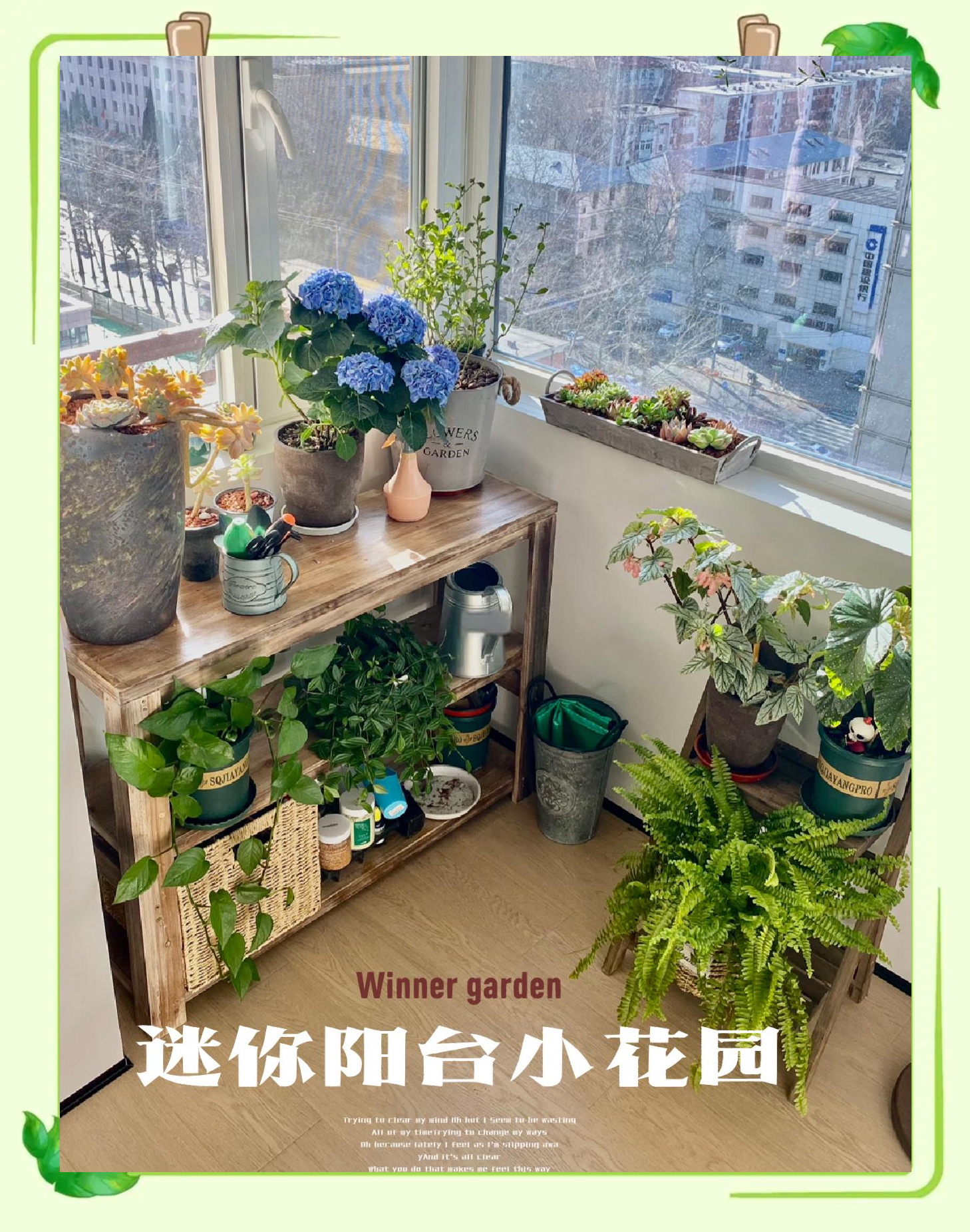 阳阳花卉绿植园艺(陕西阳阳园林景观建设有限公司 电话)