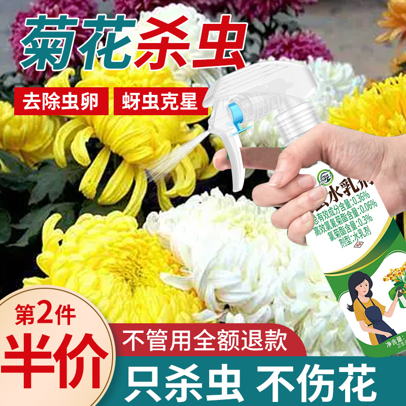 园艺花卉小飞虫(花里小飞虫用什么药)