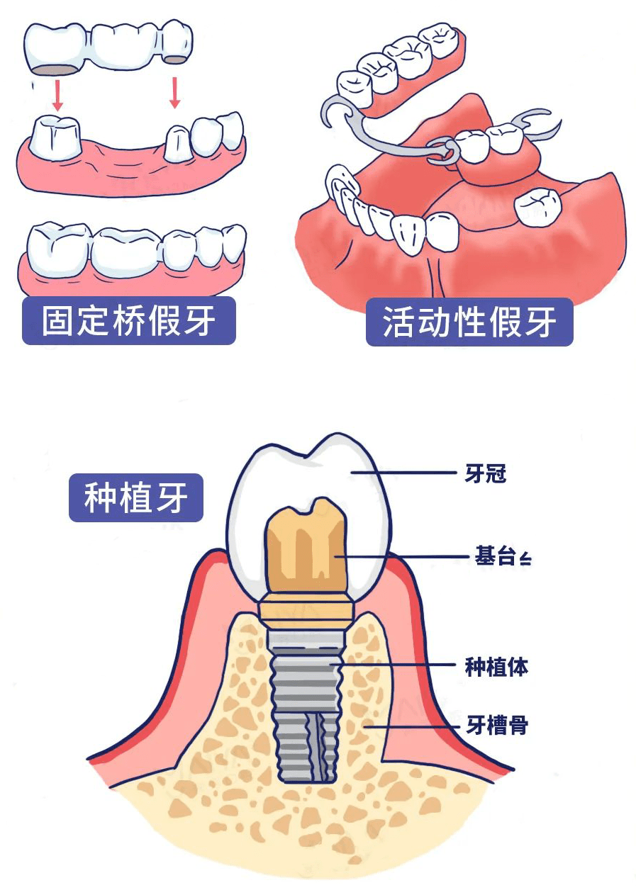 现代园艺种植牙流程(广州亚蔬园艺种苗有限公司)