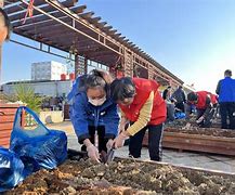 西湖镇园艺场新闻(西湖镇园艺场新闻报道)