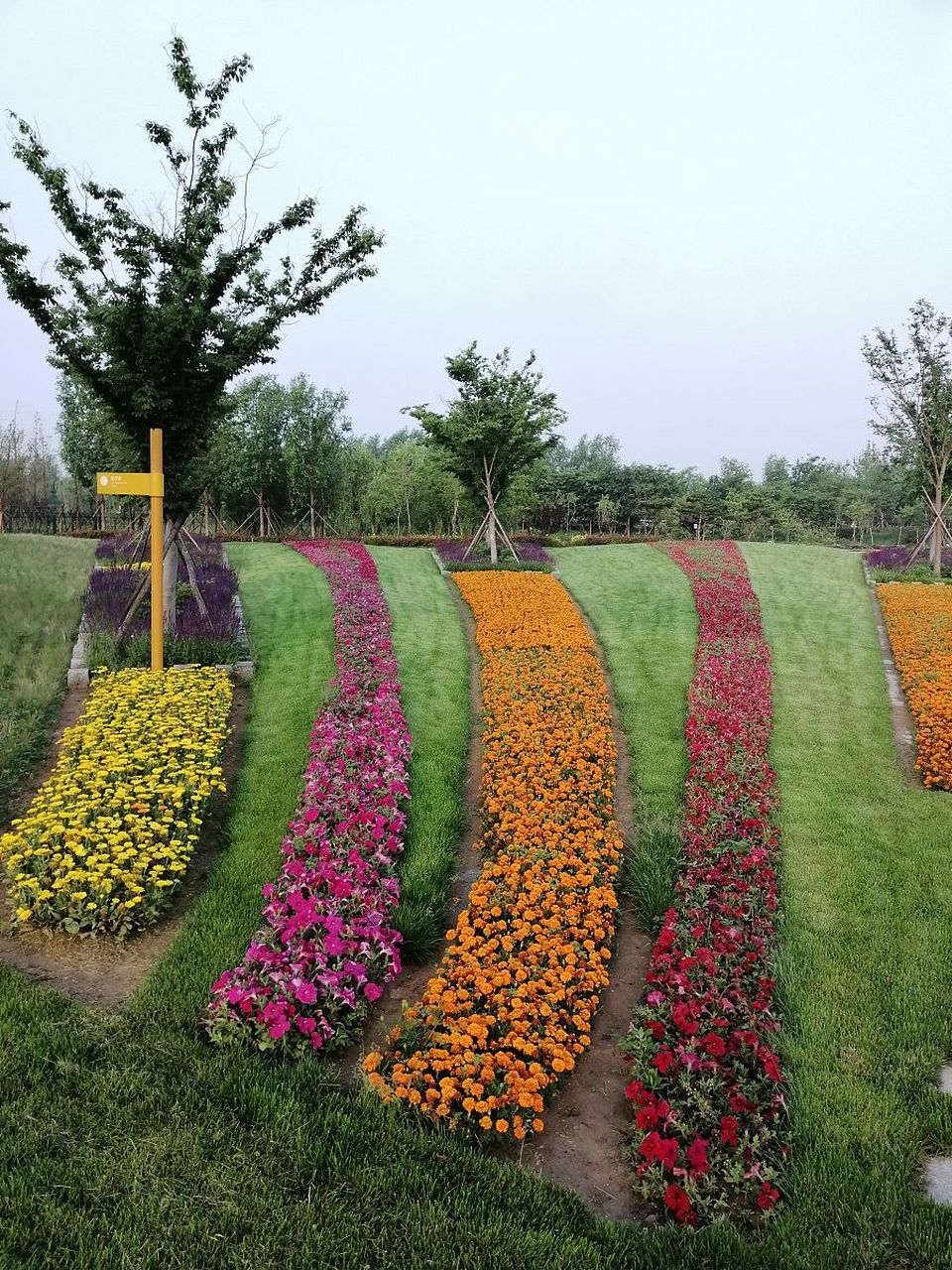 津坪花卉园艺场(中国国际花卉园艺展览会)