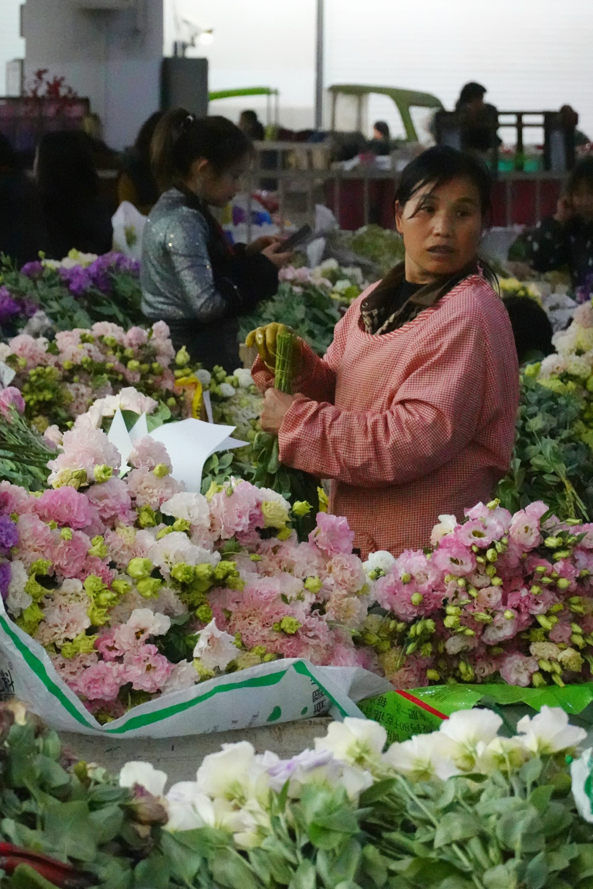 昆明+花卉园艺师(昆明缤纷园艺招聘信息)