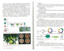 北方园艺出刊周期(北方园艺属于几类期刊)