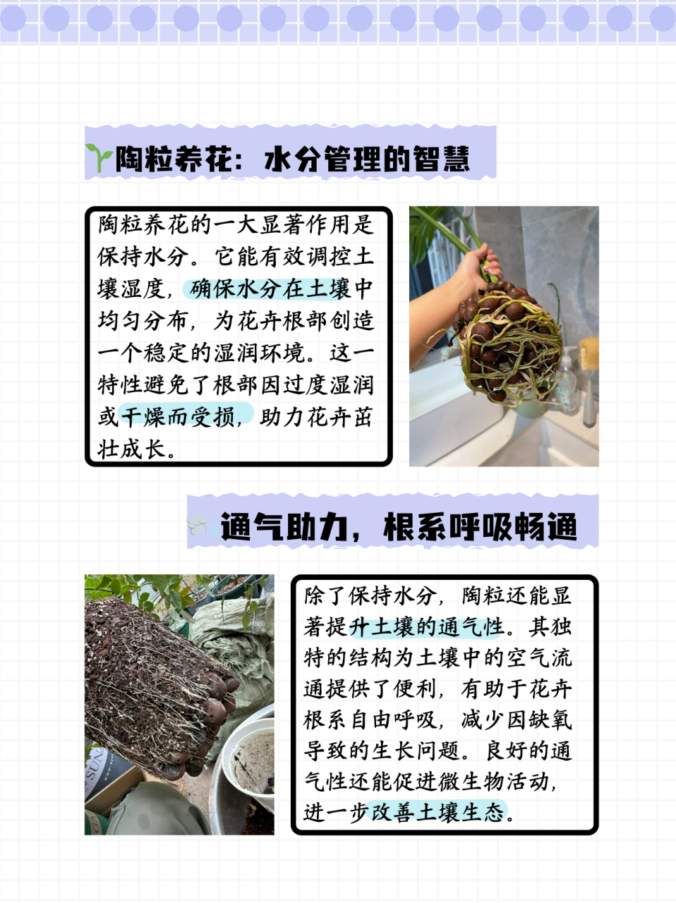 园艺陶粒形态特征分析(园艺陶粒形态特征分析图)